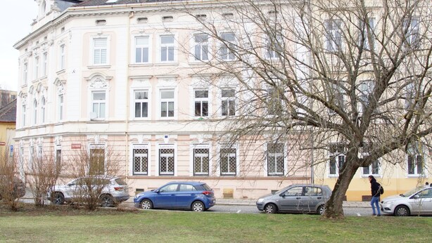 A building with multiple windows and a tree in front. - Apartmány Mary (Litomerice)