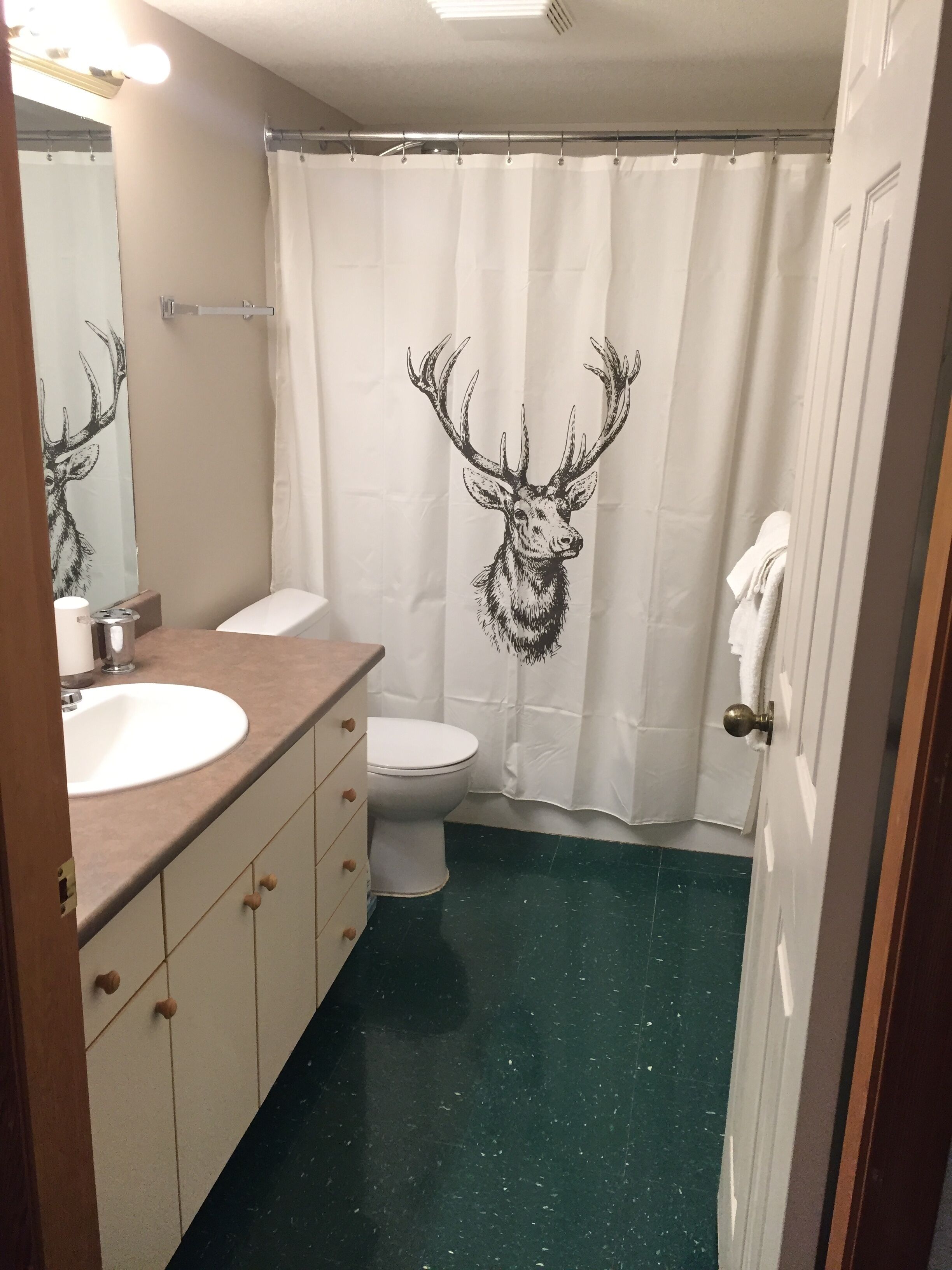 Sleepy Hollows Chalet Down (at Sun Peaks Resort)