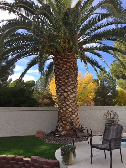 POOL & /SPA. 9 hole Mini putt in yard. Walk to Golf Course. 3 Bedrm, bungalow