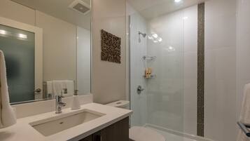 Combined shower/tub, hair dryer, towels, soap