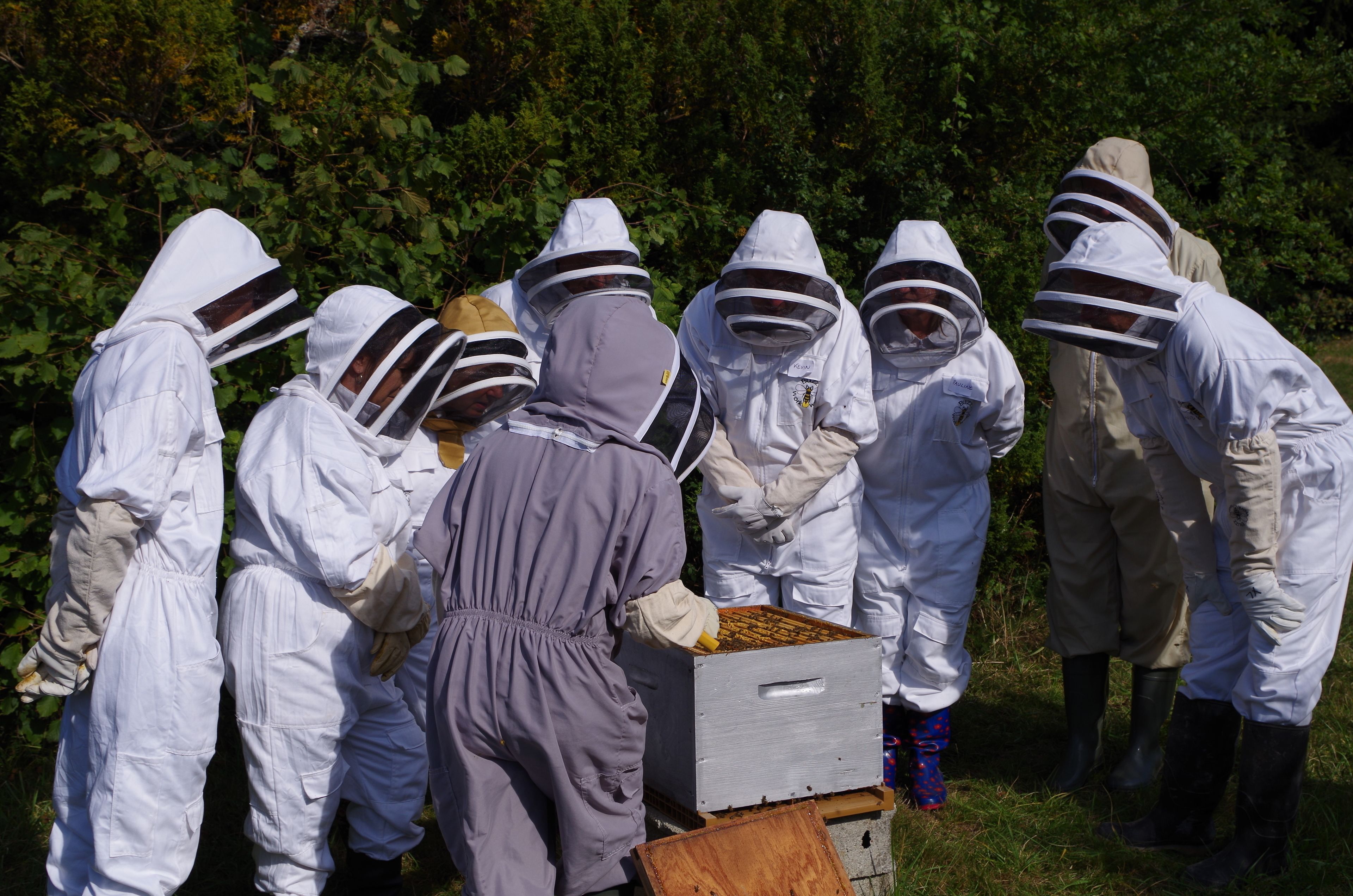 A group of people in protective suits working around a beehive in an outdoor setting.