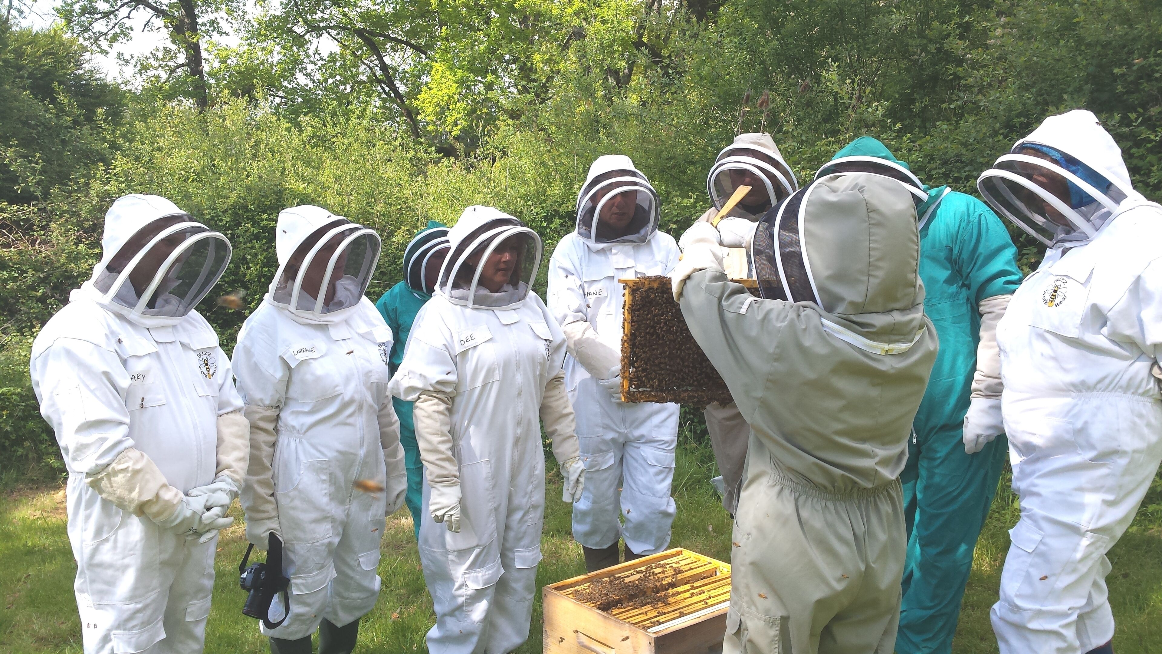 A group of individuals in protective suits examining a beehive.