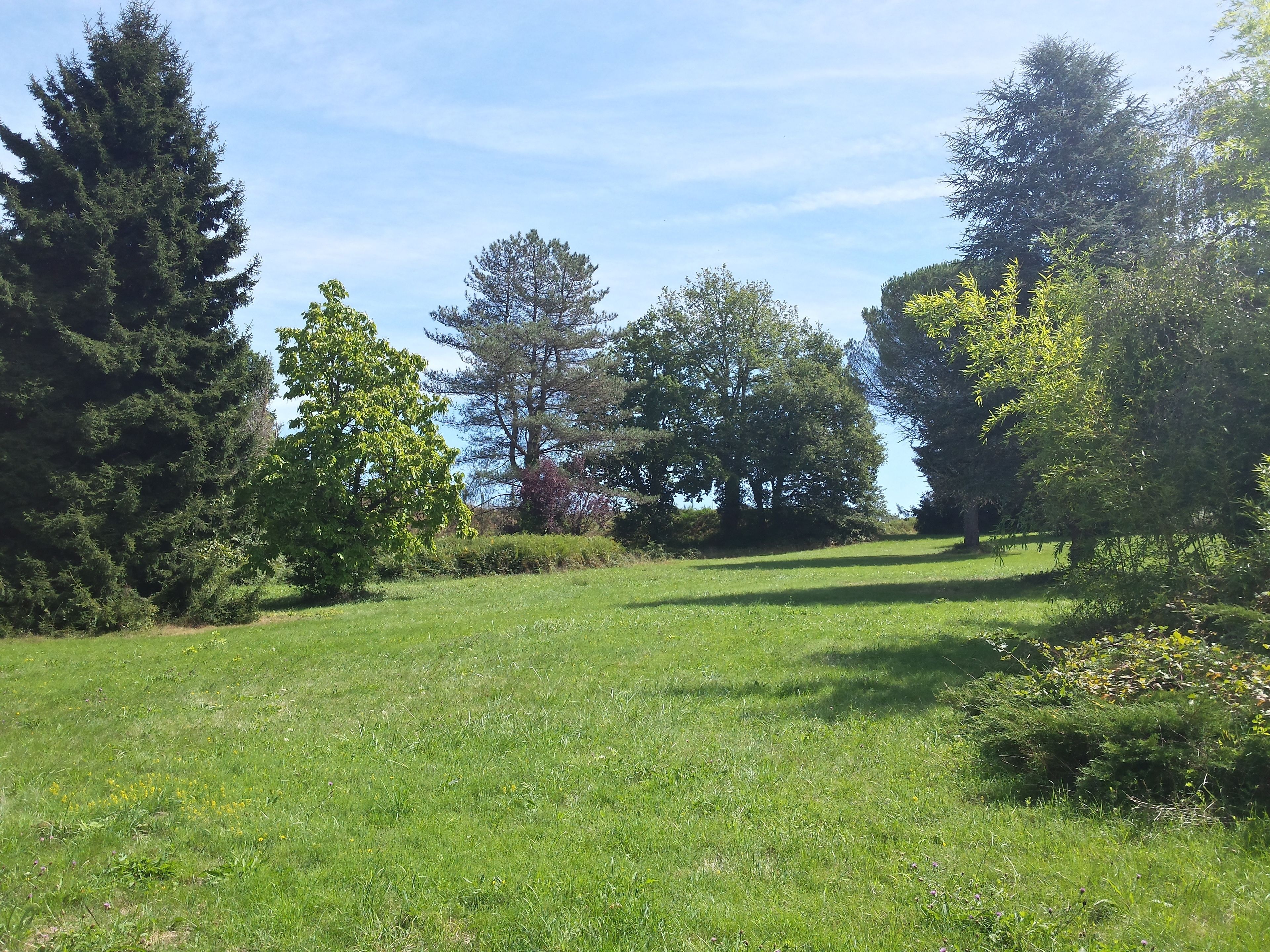 Tuin