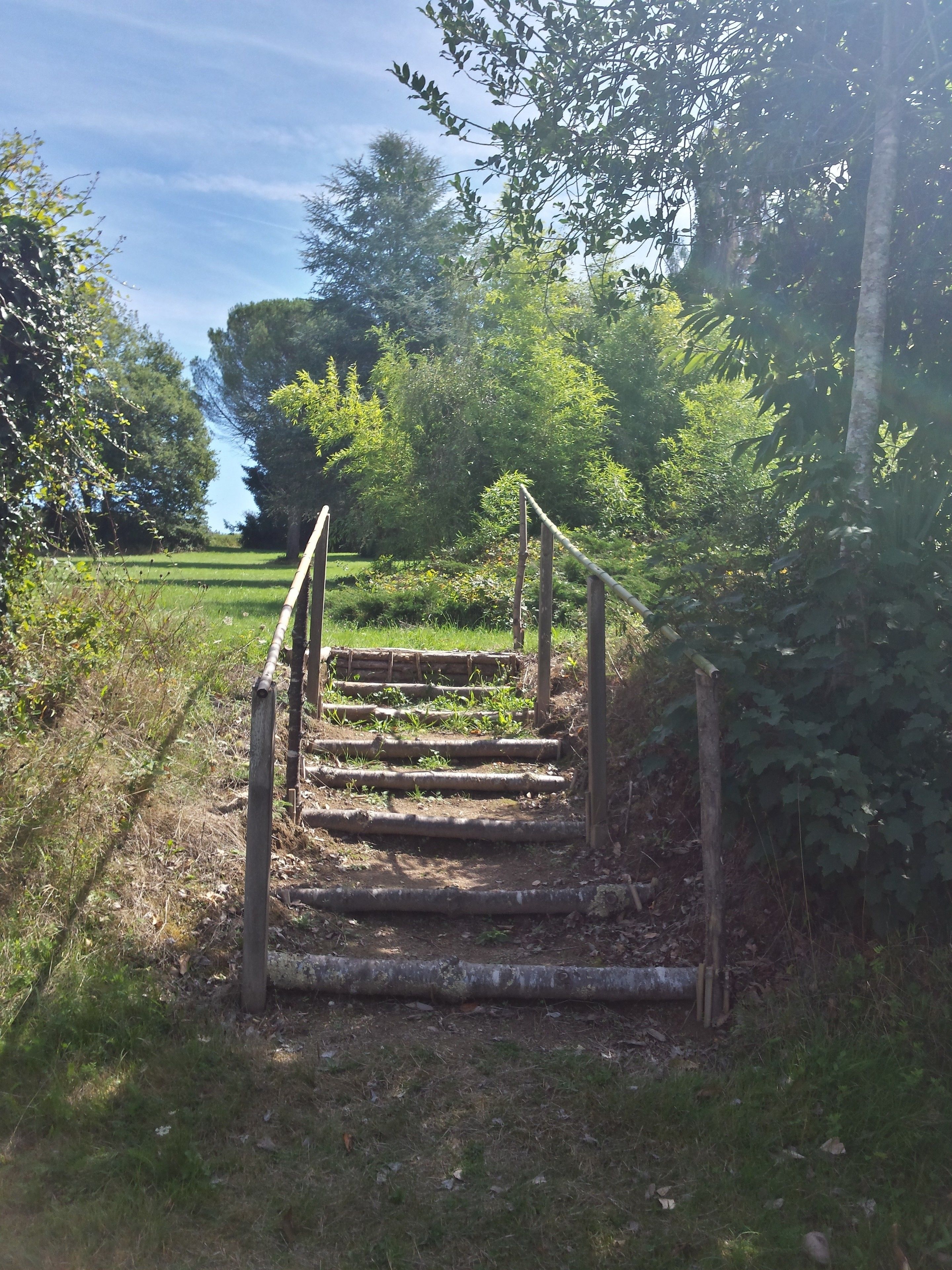 A wooden staircase leading up to a higher level, surrounded by greenery and trees.
