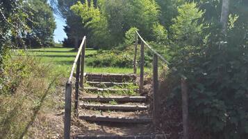A wooden staircase leading up to a higher level, surrounded by greenery and trees.