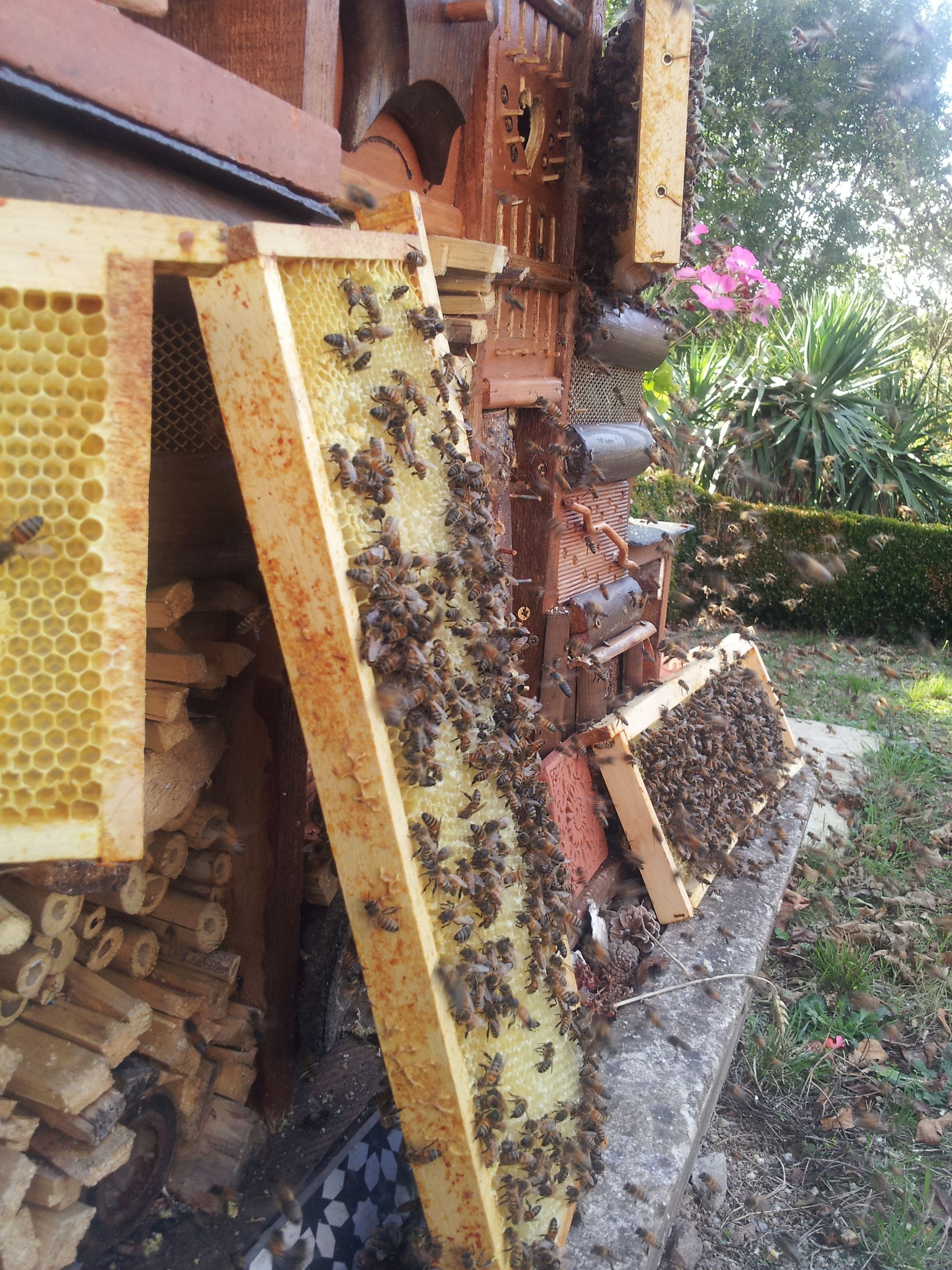 Une ruche composée de plusieurs alvéoles et dotée d’une base en bois.