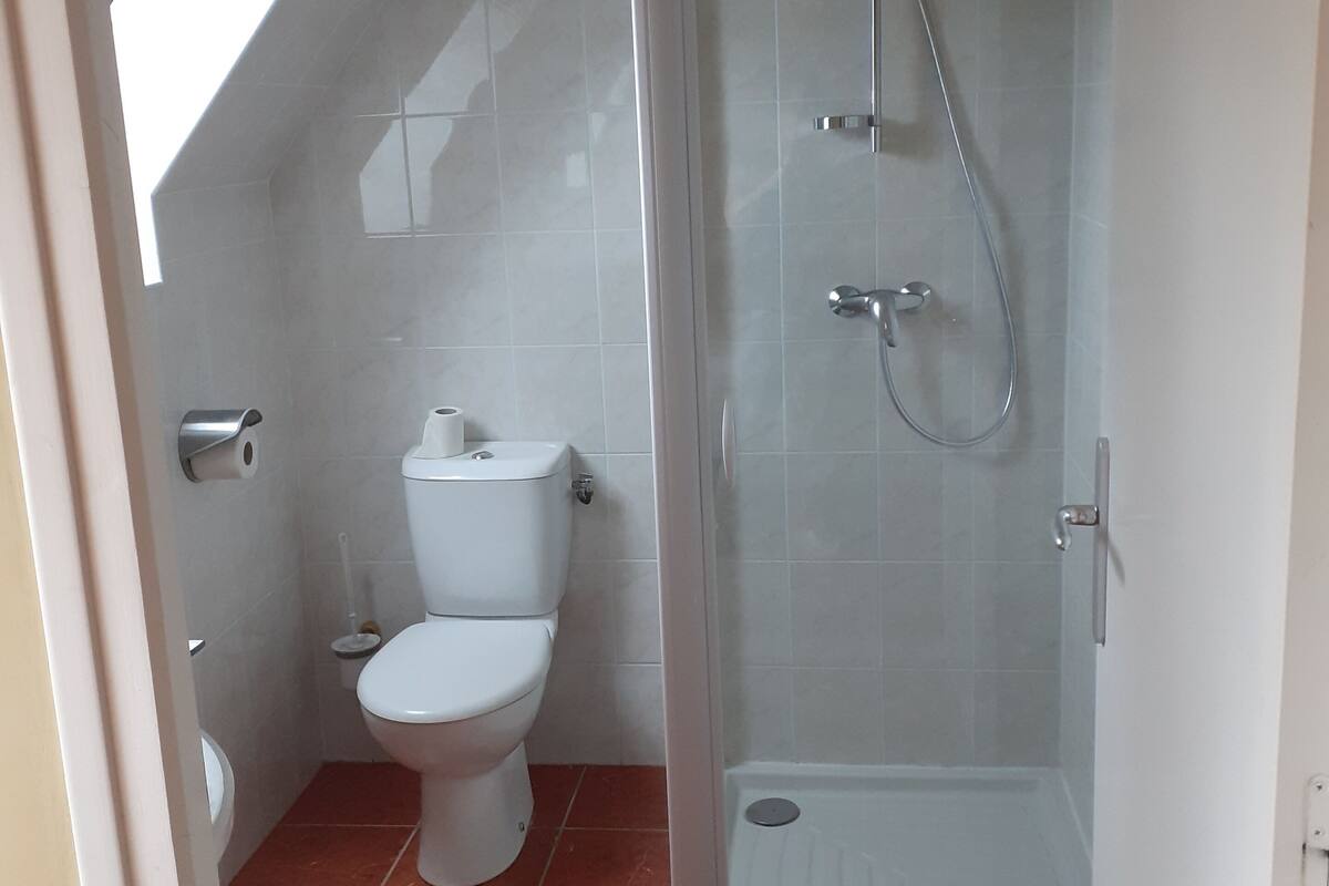 comfort double room | bathroom | shower, free toiletries, hair dryer, towels