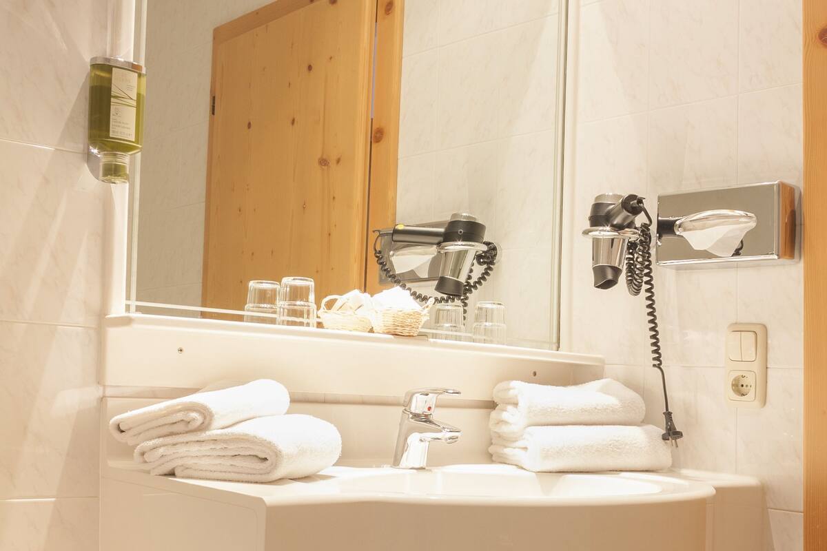 combined shower/bathtub, free toiletries, hair dryer, bidet