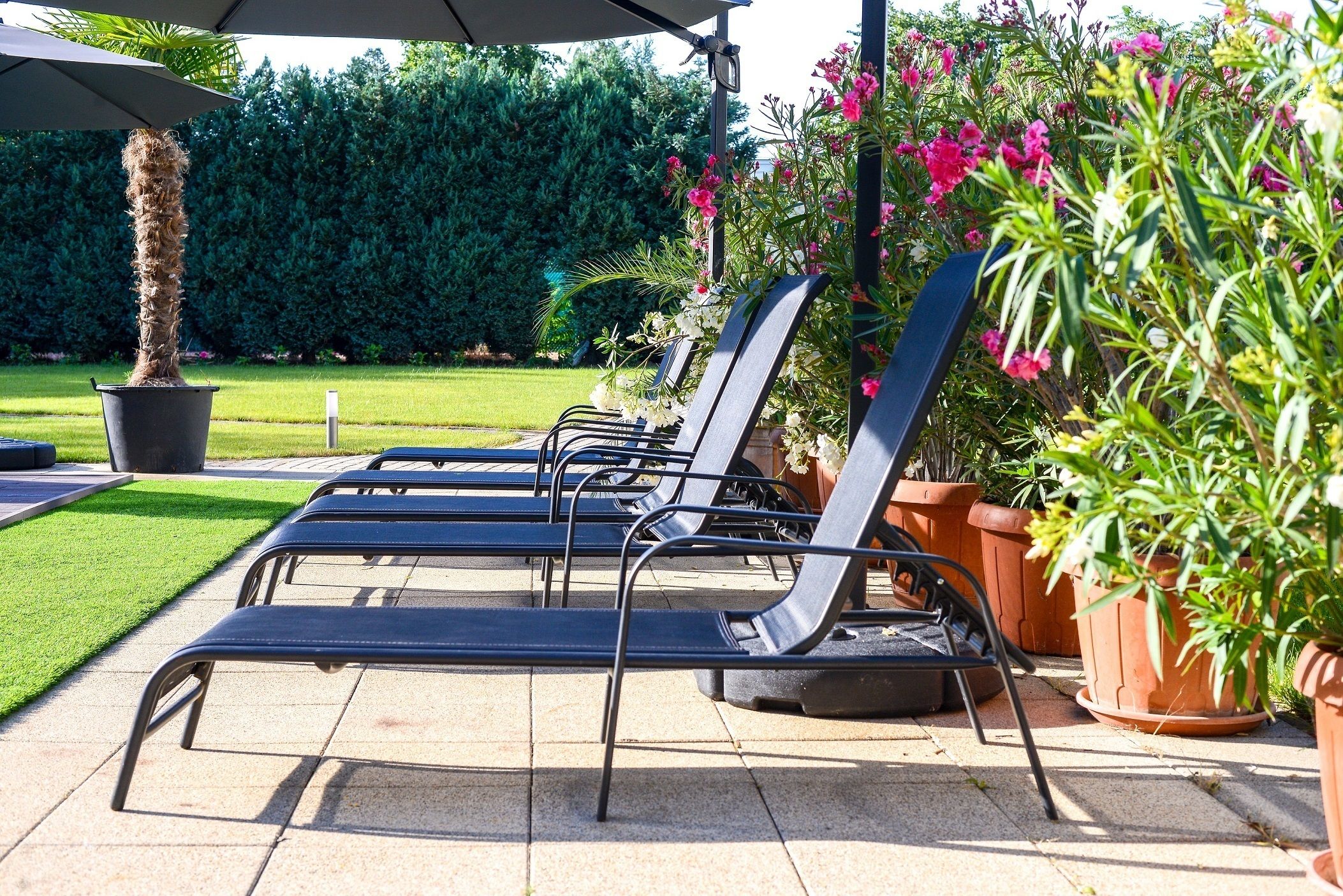 A row of black lounge chairs under a canopy, with potted plants and a neatly trimmed lawn in the background.