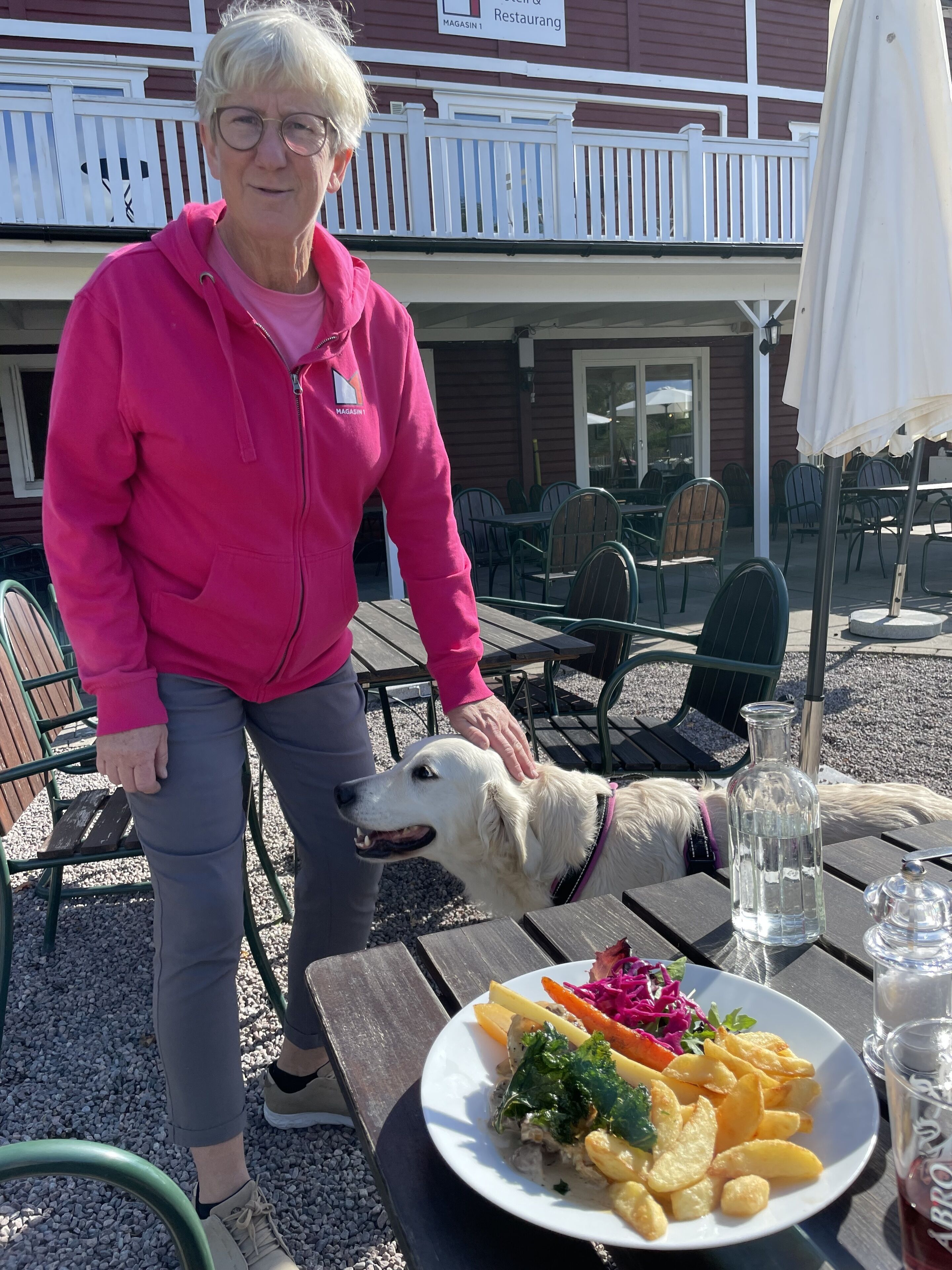 An outdoor dining area with a table set for a meal, a dog, and a person in a pink jacket.