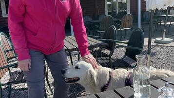 An outdoor dining area with a table set for a meal, a dog, and a person in a pink jacket.