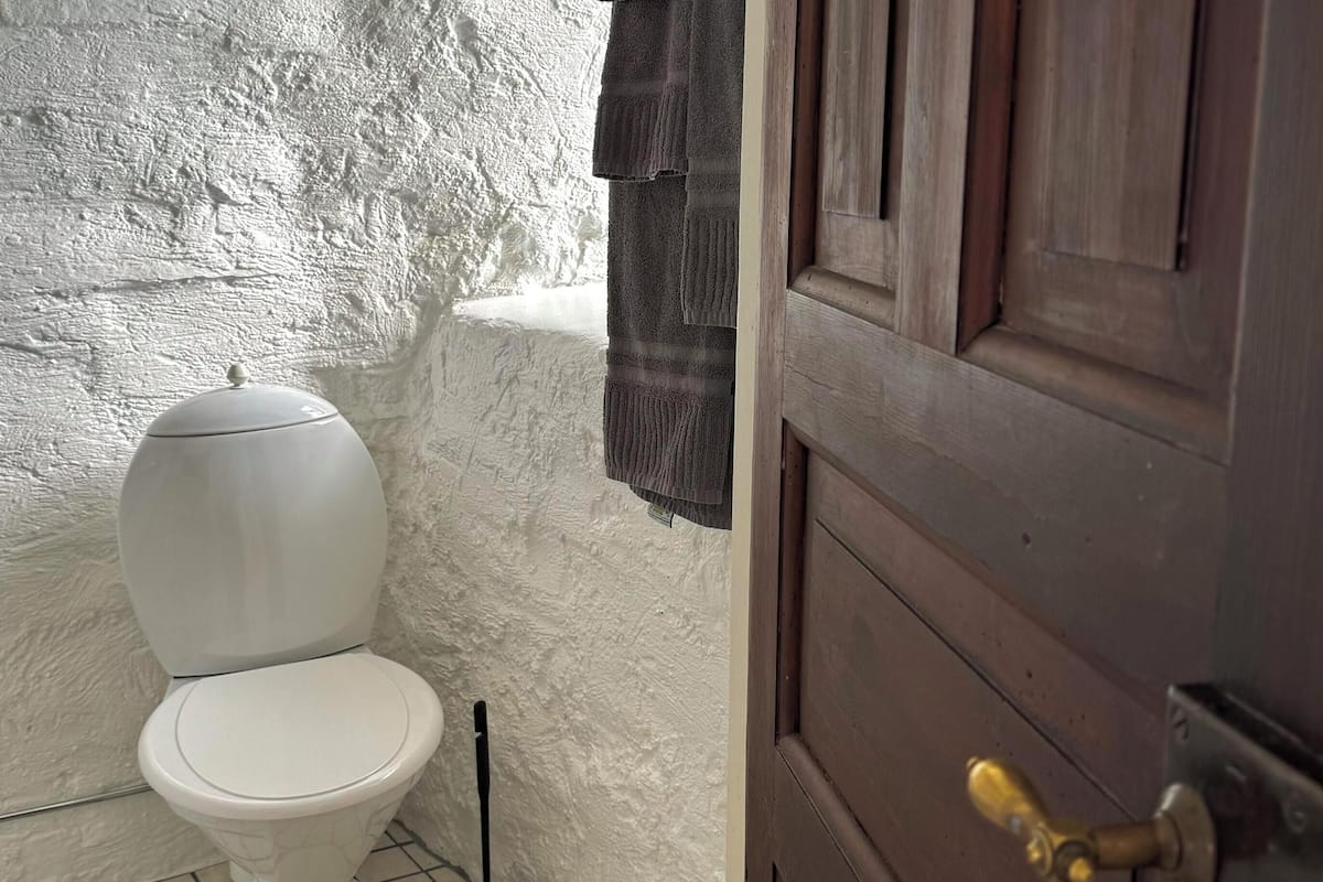 standard room, 2 single beds | bathroom | shower, free toiletries, hair dryer, towels