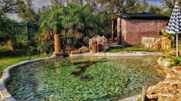 Hot springs