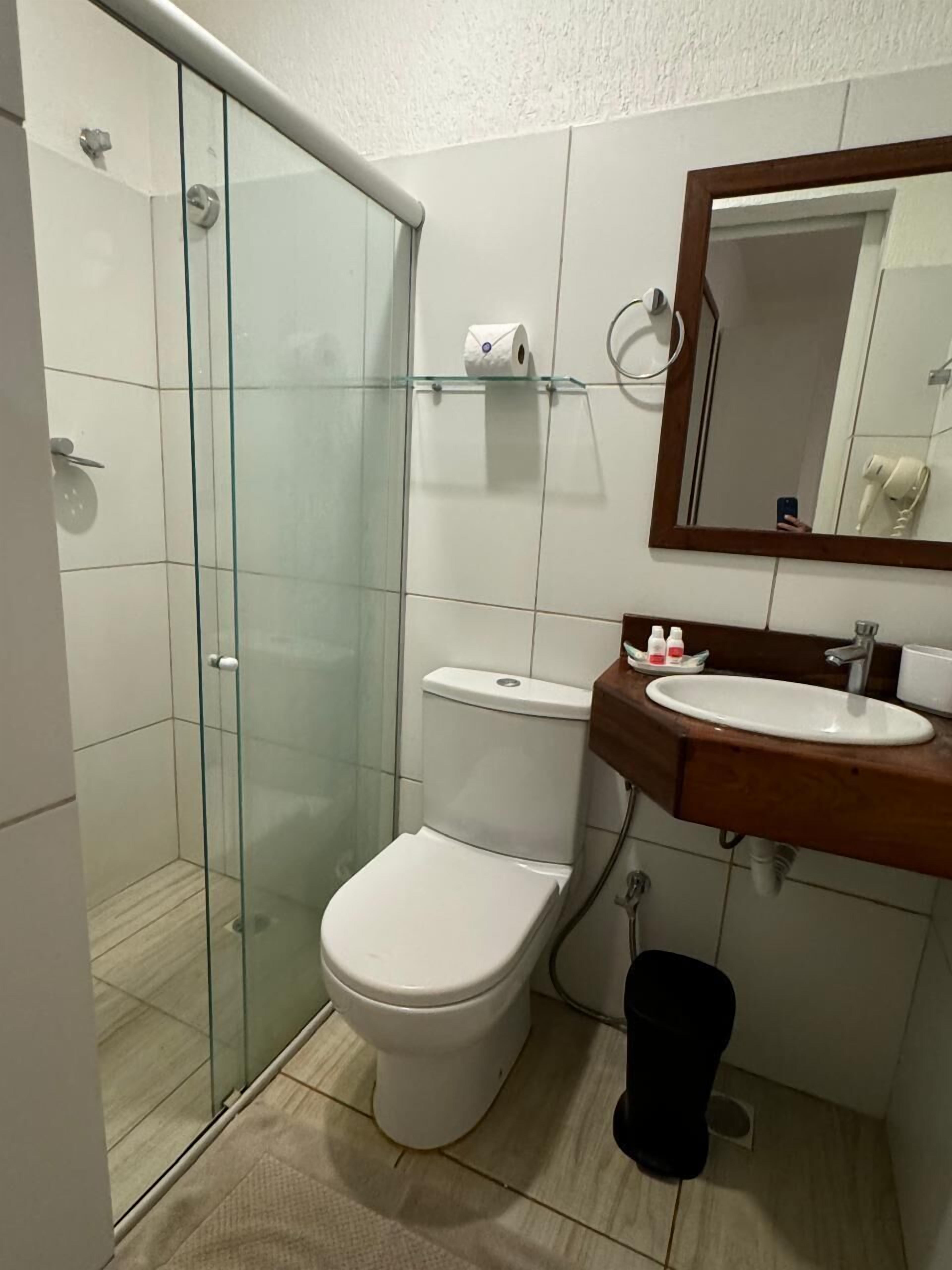 A bathroom with a glass shower enclosure, a white toilet, a sink with a mirror above it, and a towel rack.