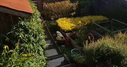 SueSea's by the Sea Shore