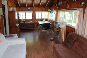 TV, DVD player, books, video library