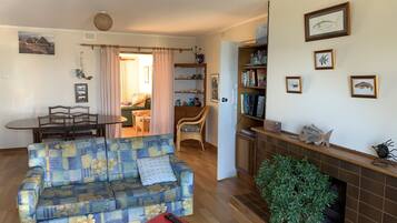 Smart TV, DVD player, books, stereo