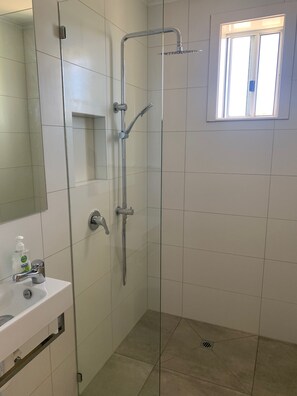 Combined shower/tub, hair dryer, towels, soap