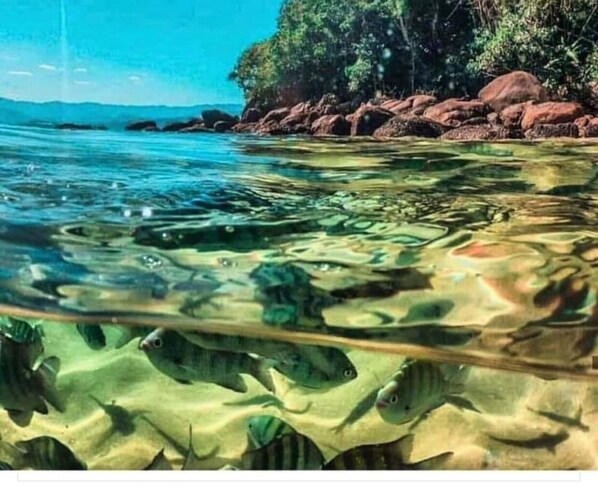 Praia