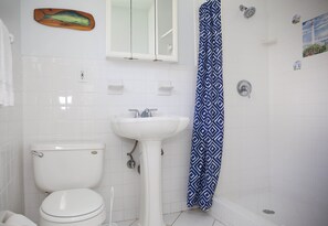 Combined shower/tub, hair dryer, towels, soap