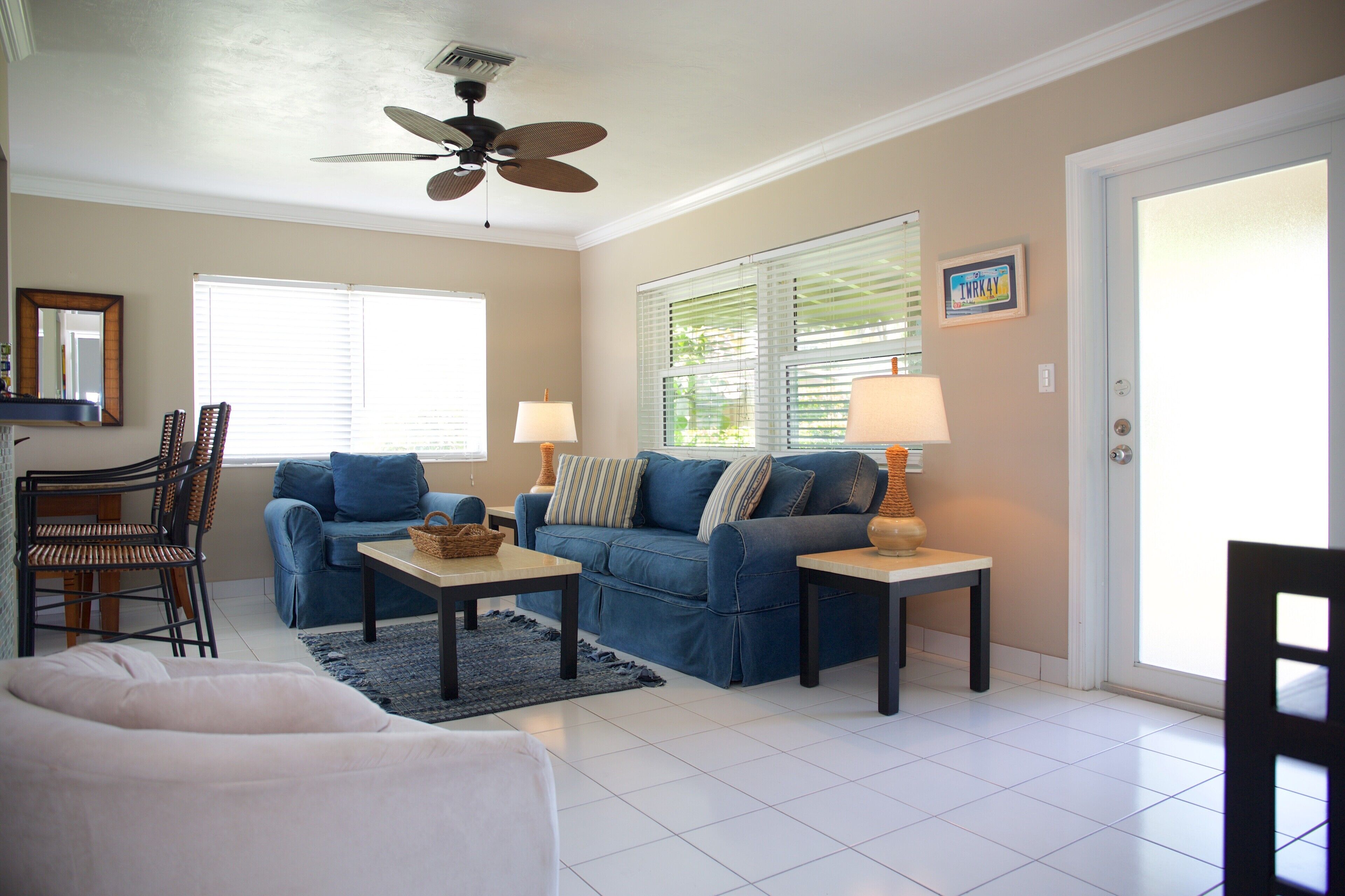 電視、DVD 播放機、書籍