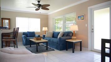 TV, DVD player, books