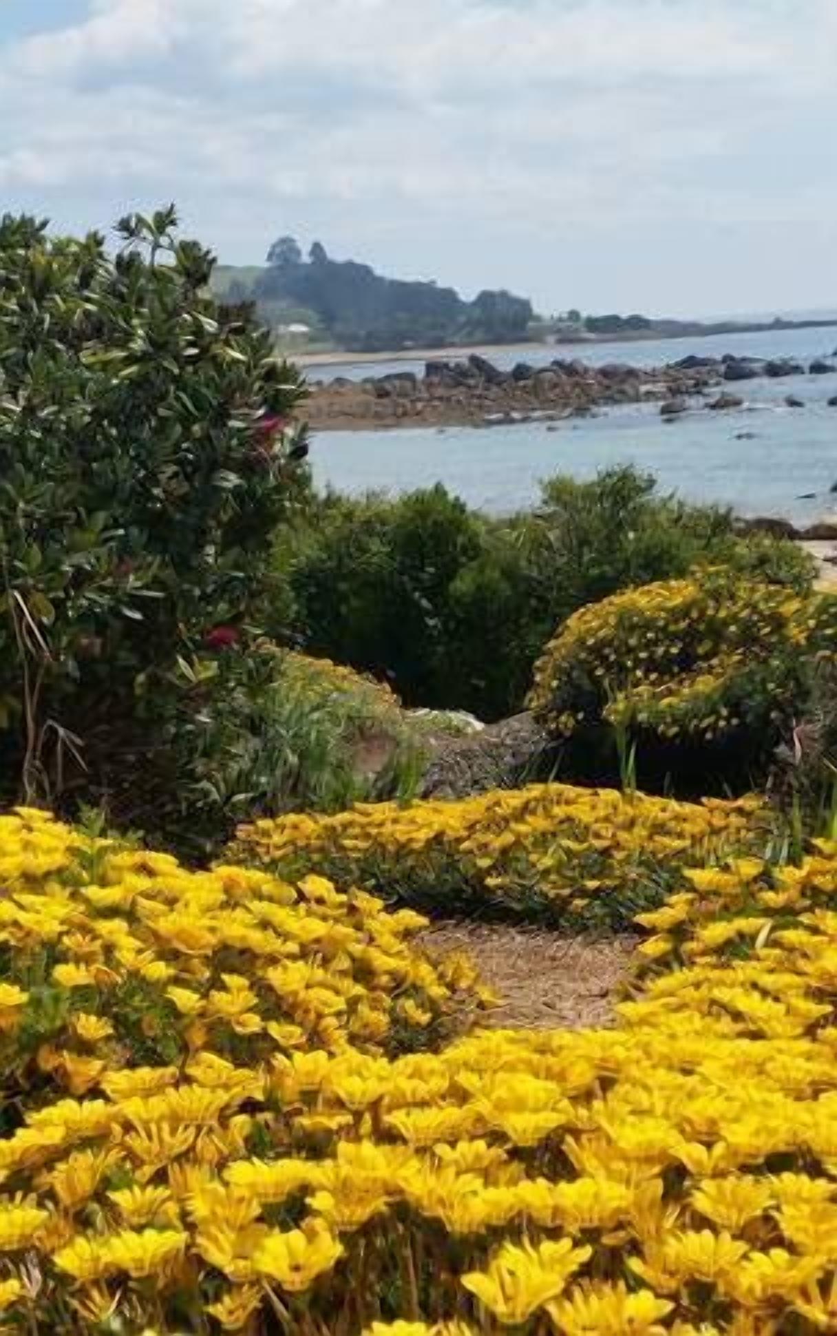 Penguin Beach House - seaside getaway — image 24