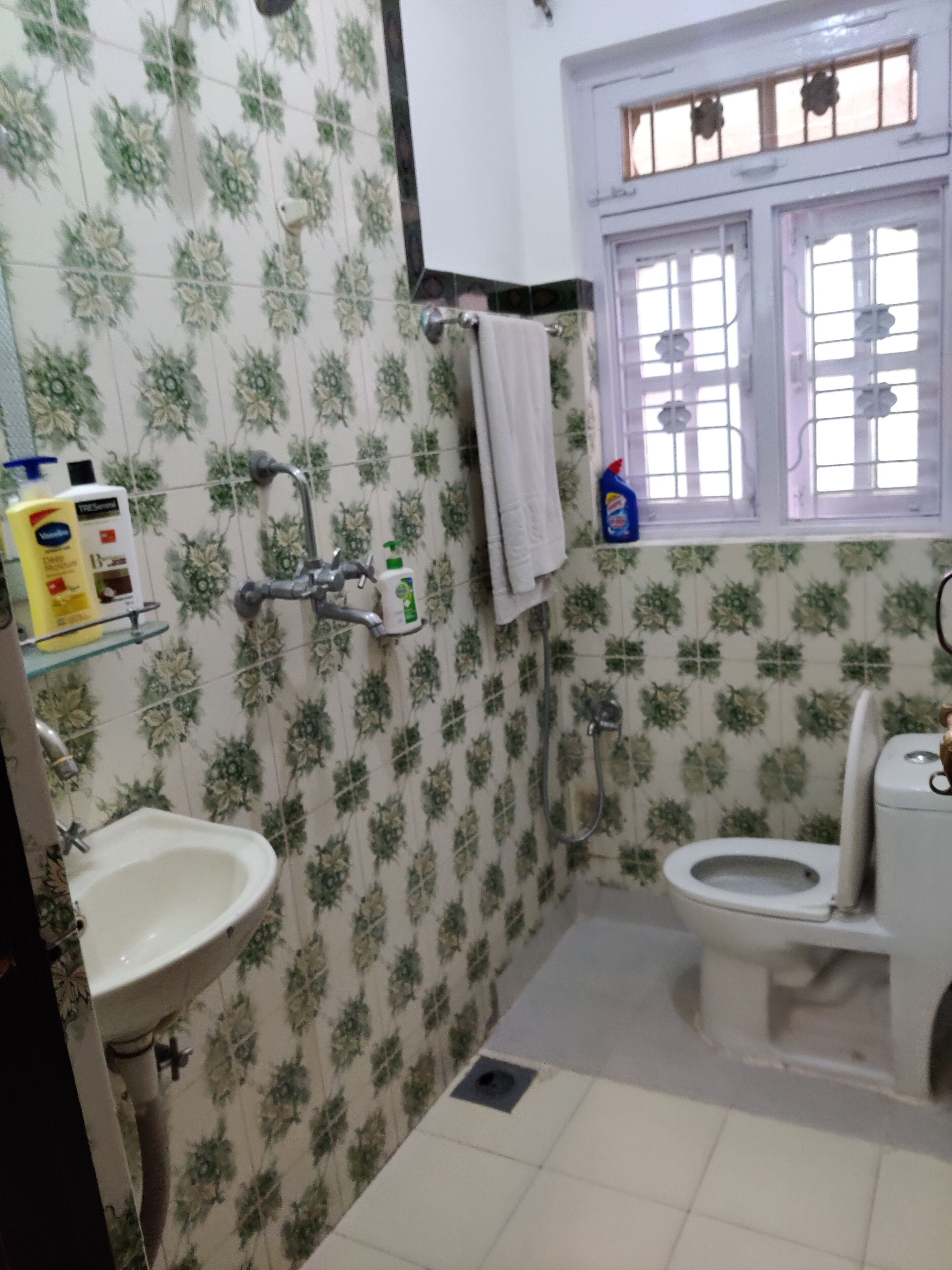 Dusche, Haartrockner, Seife, Toilettenpapier