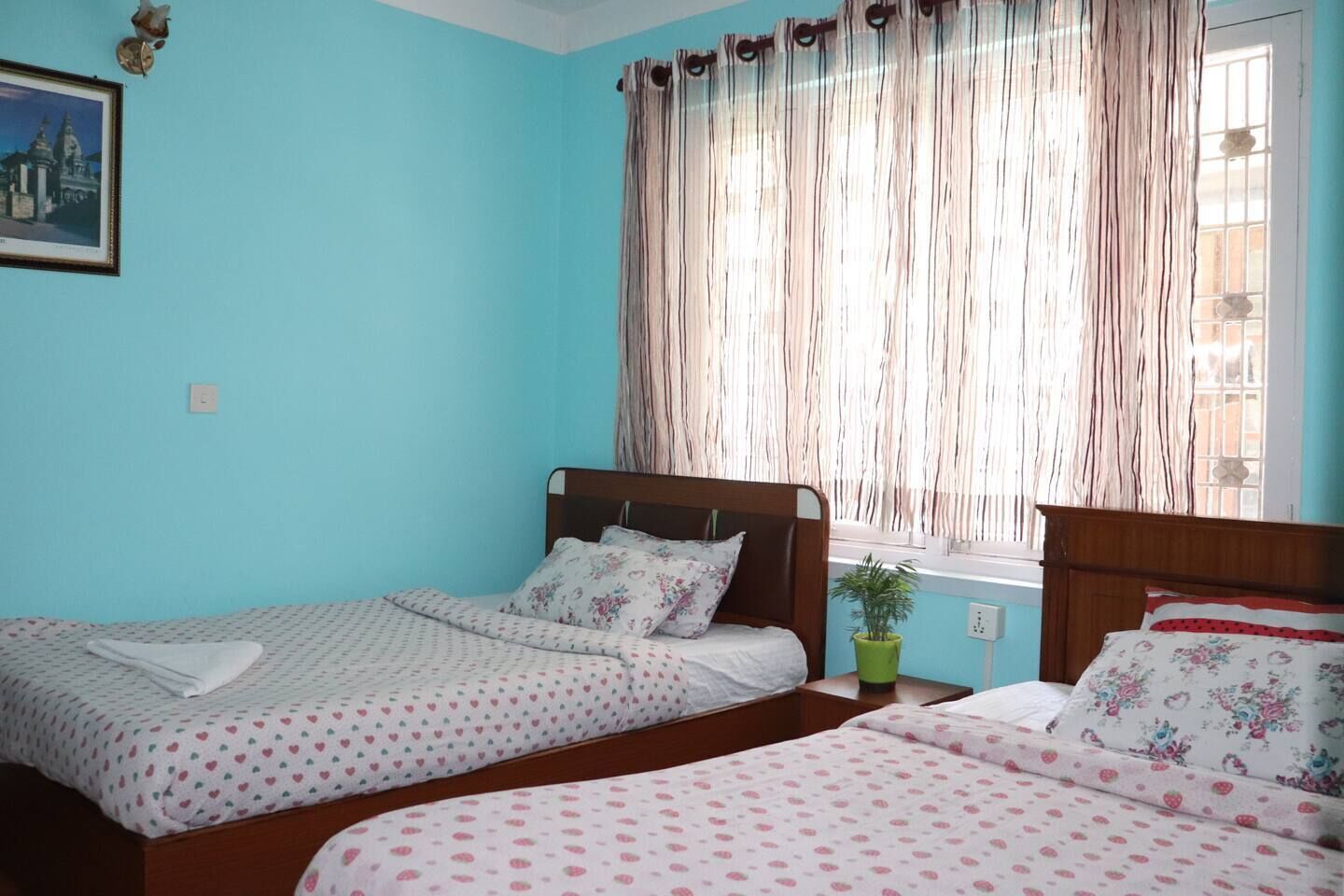 A room with two beds, a window with curtains, a small potted plant, and a framed picture on the wall.