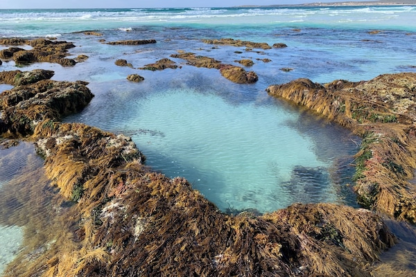 Rockpool