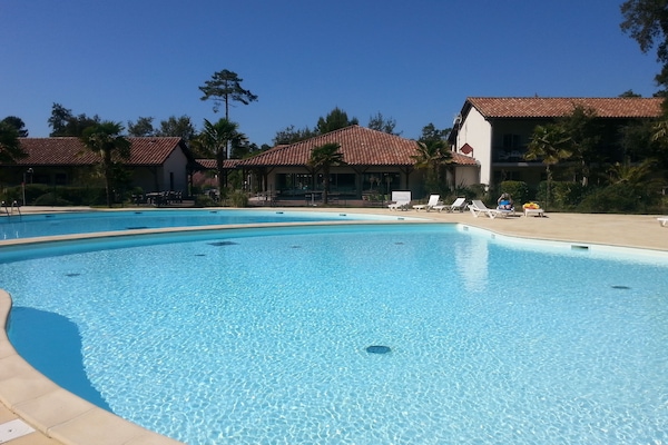 la piscine