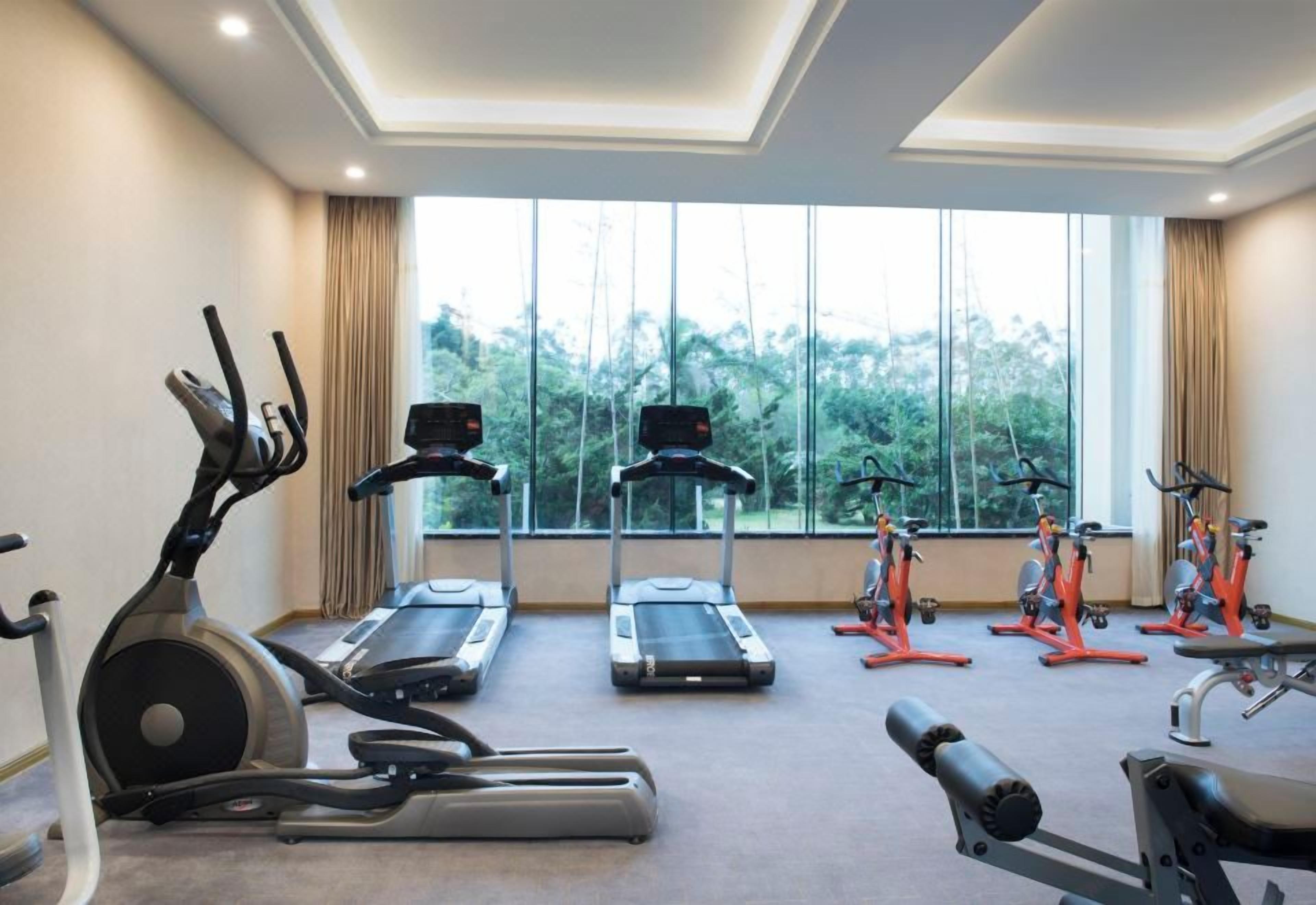 A gym with treadmills, stationary bikes, and a rowing machine.