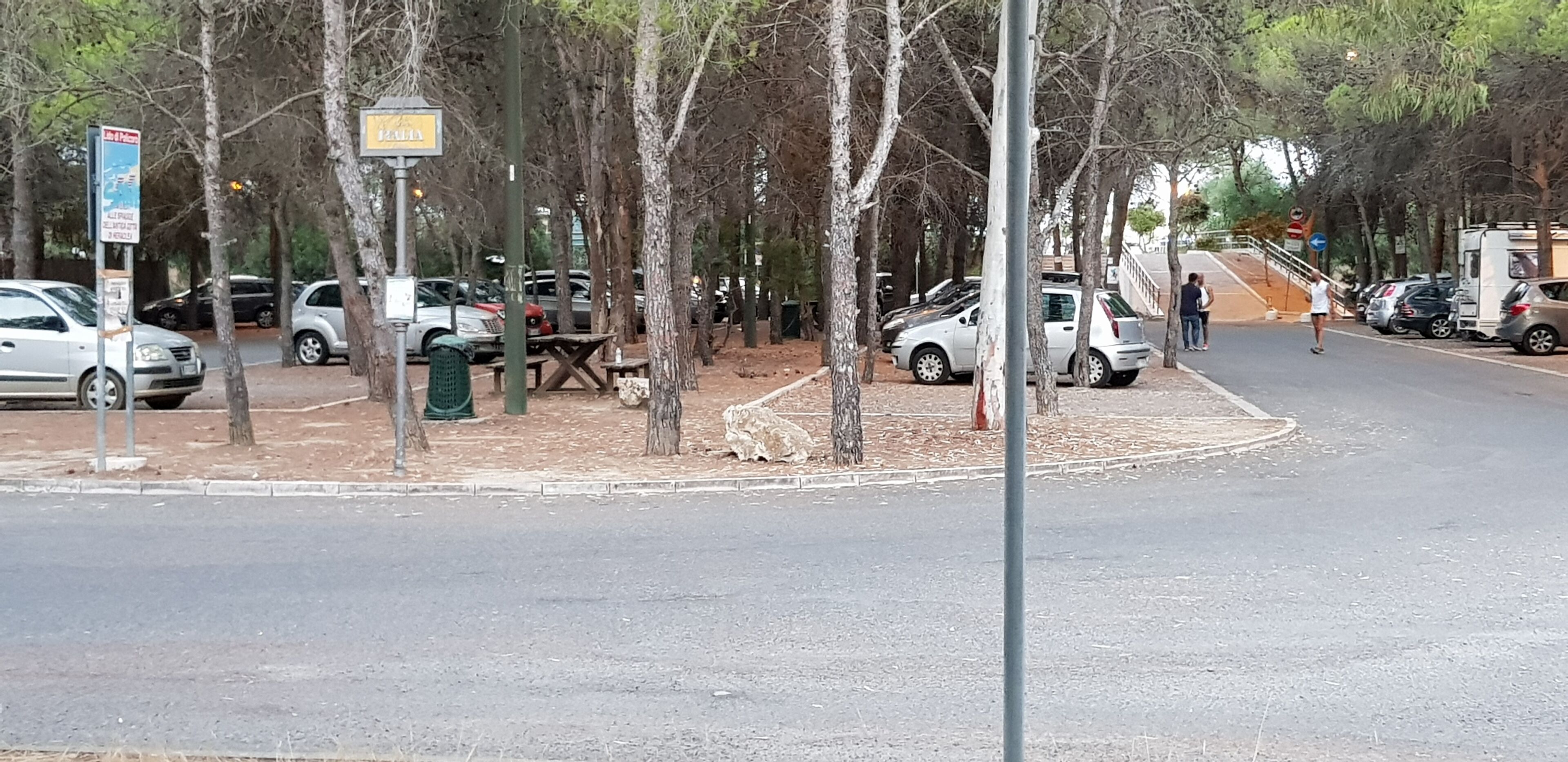 A street with parked cars, trees, and a pedestrian crossing.