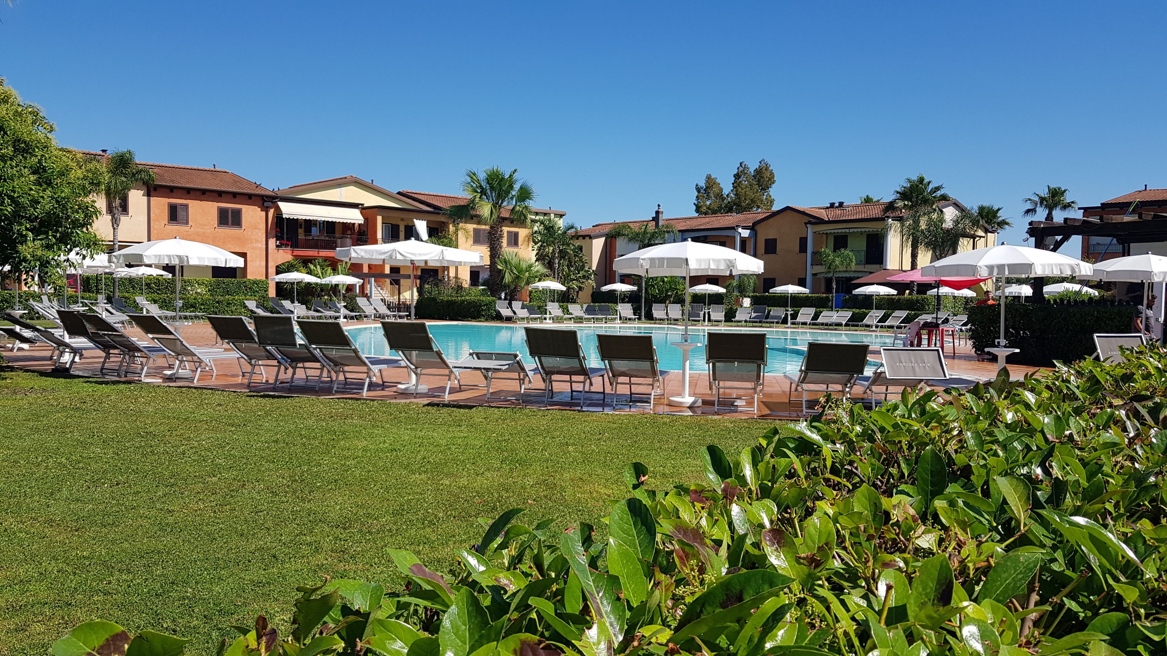 A pool area with lounge chairs and umbrellas, surrounded by buildings with balconies and palm trees.