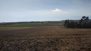 Een uitgestrekt veld met een bergketen in de verte en enkele bomen.