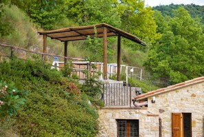 Property grounds - Villa Carina is a cozy cottage w/pool the ideal locaton for relaxation in Umbria (Collelungo di Baschi)