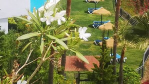 Ein Poolbereich mit Liegestühlen und Sonnenschirmen, umgeben von Palmen und Blick auf das Meer.