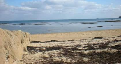 Petite maison typiquement noirmoutrine à 243 pas de la plage du vieil