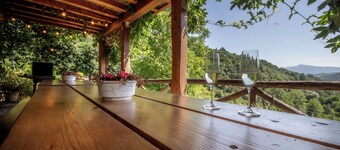 Paolina house, typical Tuscan structure with pool, surrounded by nature