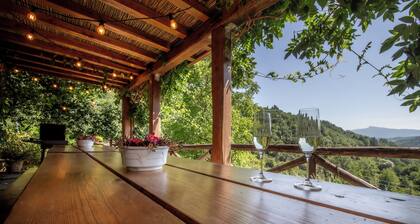 Paolina house, typical Tuscan structure with pool, surrounded by nature
