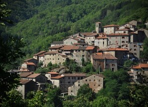 Exterior - Paolina house, typical Tuscan structure with pool, surrounded by nature (ORTIGNANO RAGGIOLO)