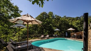 A swimming pool with lounge chairs and umbrellas, surrounded by trees and a stone wall. - Paolina house, typical Tuscan structure with pool, surrounded by nature (ORTIGNANO RAGGIOLO)