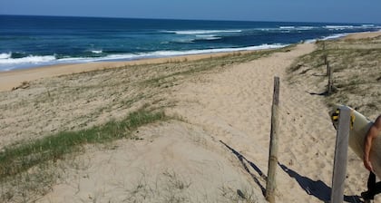 Villa OCEANE***** Moliets: House / Villa - Moliets