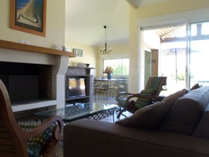 Télévision, cheminée, lecteur de DVD, livres