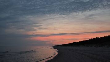 Ranta