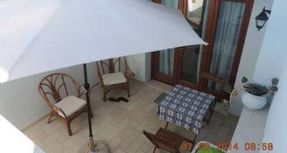 - FRESH JA FUNCTIONAL -