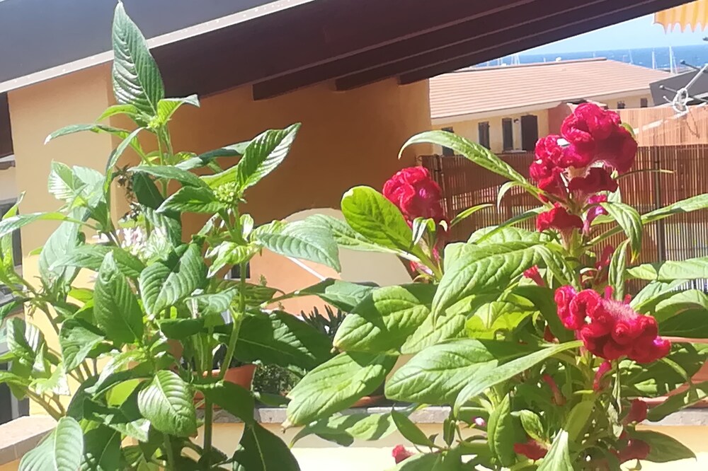 Mi casa es el Mar! Lovely penthouse near the beach and the center of Castelsardo