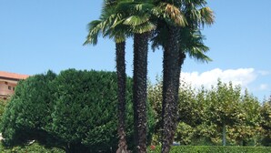 Basseng