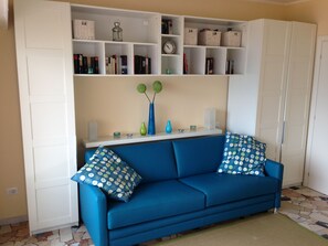 TV, DVD player, table tennis, books