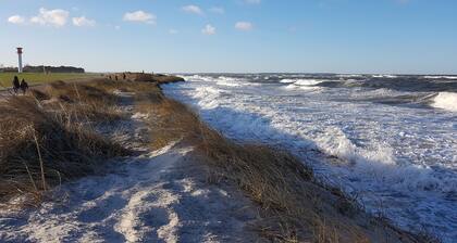 complexe de maisons de vacances adapté aux enfants et aux chiens